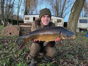 Common Carp