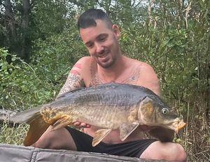 Mirror Carp
