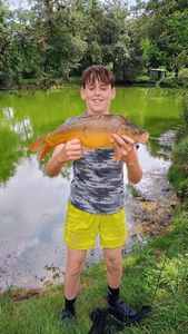 Mirror Carp