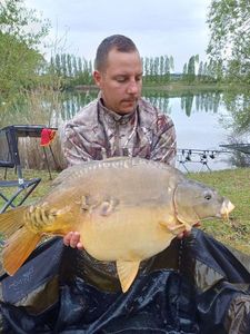Mirror Carp