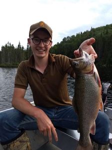 Brook Trout