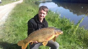 Common Carp