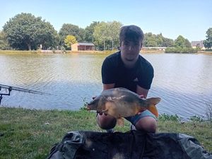 Mirror Carp