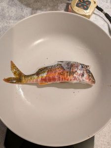 Surmullet