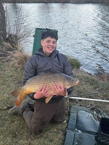 Mirror Carp
