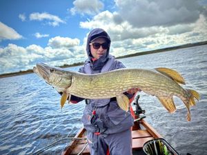 Northern Pike