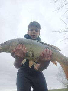 Leather Carp