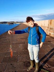 European Squid