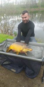 Mirror Carp