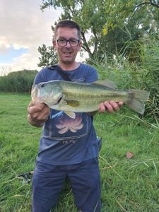 Largemouth Bass
