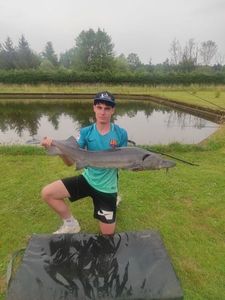 Sturgeon