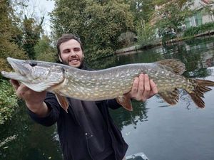 Northern Pike