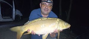 Mirror Carp