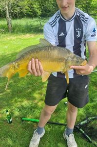 Mirror Carp