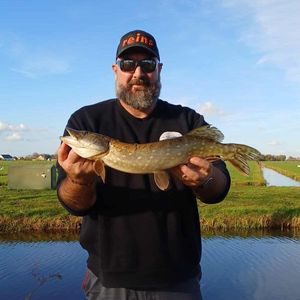 Northern Pike