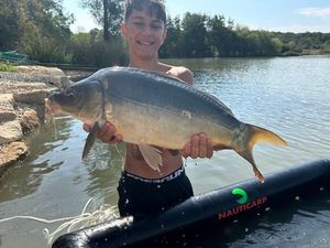 Mirror Carp
