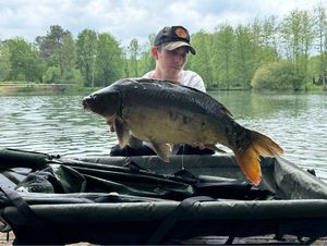 Mirror Carp