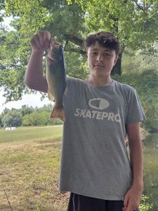 Largemouth Bass