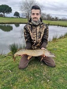 Northern Pike