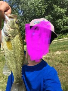 Largemouth Bass