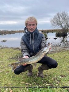 Northern Pike