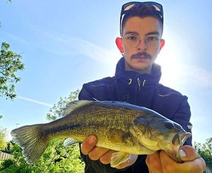 Largemouth Bass