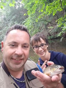 Brown Trout