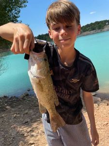Largemouth Bass