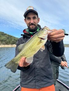 Smallmouth Bass