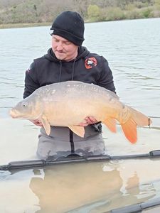 Mirror Carp