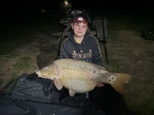 Mirror Carp