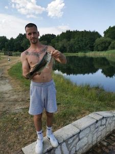 Largemouth Bass