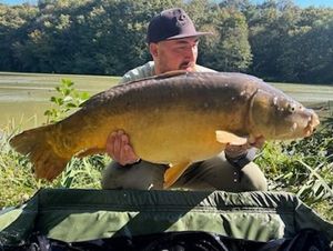 Mirror Carp