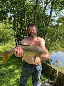 Common Carp