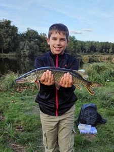 Northern Pike
