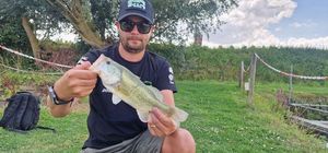Largemouth Bass