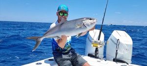 Greater Amberjack