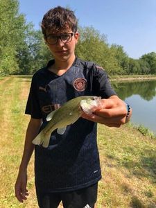 Largemouth Bass