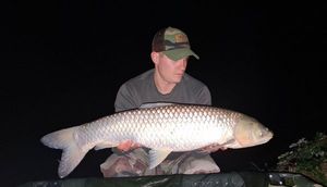 Grass Carp