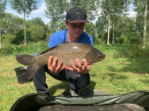 Common Carp