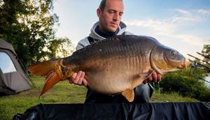 Mirror Carp