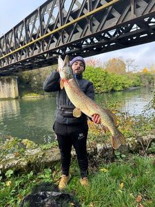 Northern Pike