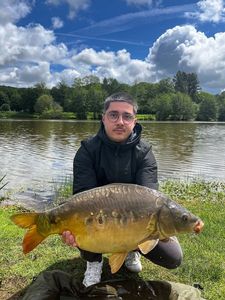 Mirror Carp