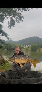 Mirror Carp