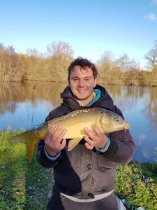 Mirror Carp