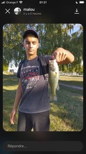 Largemouth Bass