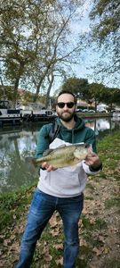 Largemouth Bass