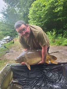 Mirror Carp