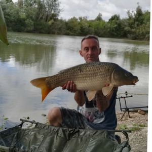 Common Carp