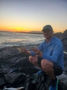 Bluefish